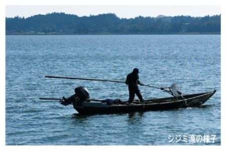 054涸沼の大和しじみ1.6kg（400g×4パック）