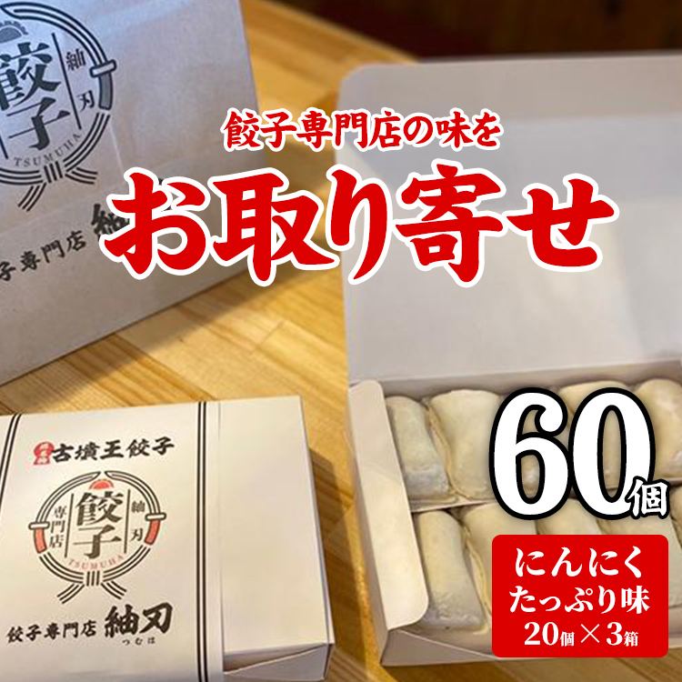 餃子 60個 餃子専門店 取り寄せ 焼餃子 20個×3箱 にんにく味 もっちり ジューシー 皮がパリッ 冷凍 ぎょうざ