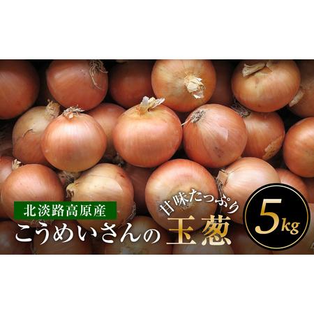 ふるさと納税 こうめいさんの玉葱5kg 兵庫県淡路市