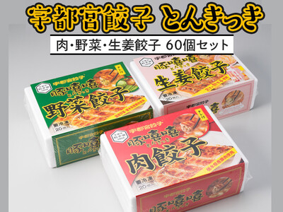 宇都宮餃子 とんきっき 20個入り 肉・野菜・生姜餃子 各1箱