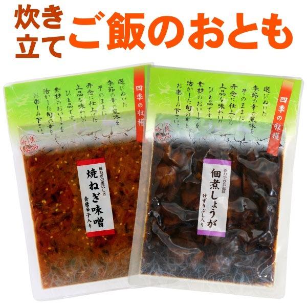 焼ねぎ味噌 佃煮しょうが 食べくらべセット 送料無料 メール便 生姜の佃煮