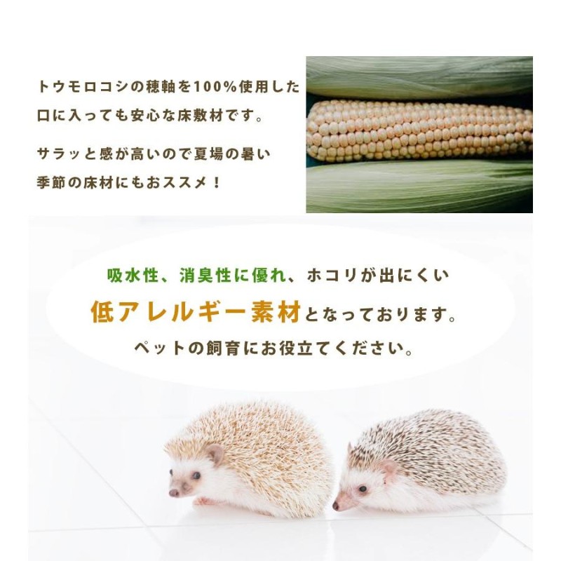 ハリネズミ飼育セット☆エアコンが部屋に無くても冬の飼育OK☆ ハリネズミ飼育セット☆エアコンが部屋に無くても冬の飼育OK☆