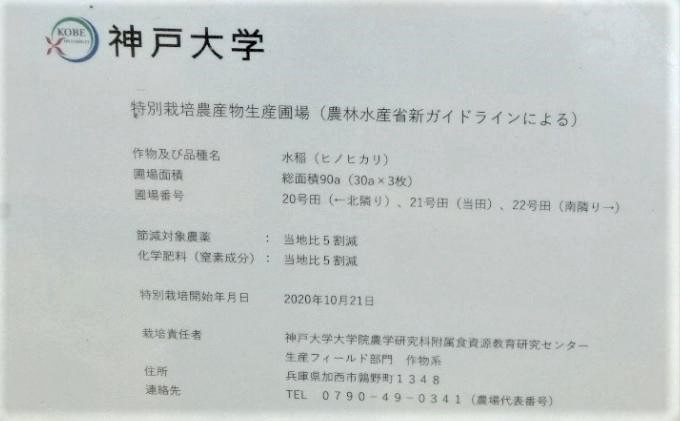 米 神大のおこめ（特別栽培米ヒノヒカリ）玄米30kg