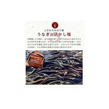 ふるさと納税 うなぎ 国産 蒲焼5尾セット(160g×5尾 タレ75ml×2・山椒付) 勝美 ギフト プレゼント お歳暮 誕生日 内祝 静岡県浜松市