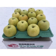 甘い青りんごの定番　青森県産　王林　贈答用　約5キロ