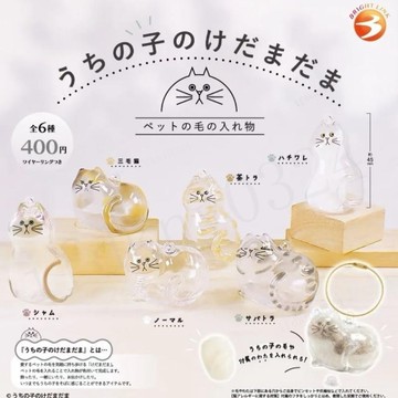 台灣出貨 貓咪扭蛋 狗狗紀念掛件 透明貓毛收納盒 貓咪吊飾扭蛋 貓咪毛髮存放膠囊 貓咪掛件透明貓毛收納盒吊飾扭蛋貓咪毛髮