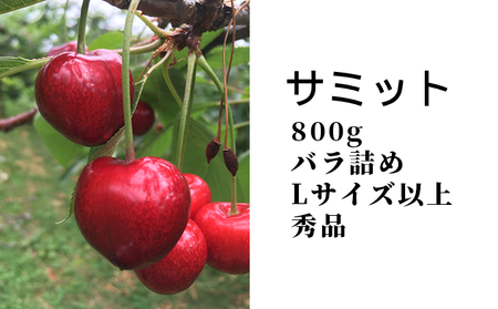 先行予約 北海道産 サミット800g バラ 秀品 Lサイズ以上 サクランボ   朝採り 当日発送