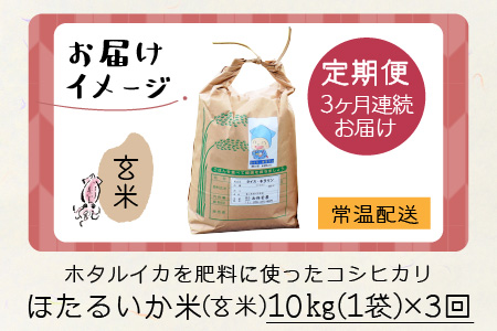 ほたるいか米（玄米10kg）×3回 計30kg