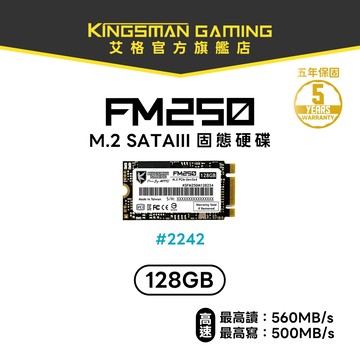 【AITC】艾格 FM250 SSD 128GB M.2 2242 SATAIII 固態硬碟