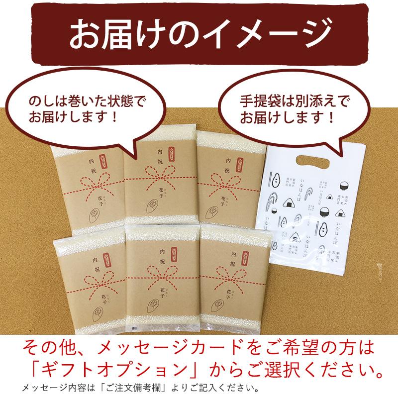 出産内祝い用おいしいご挨拶 2合 300g×6個セット 内祝い 出産 米 お返し のし お米 ギフト 御礼 プチギフト 贈り物 新潟産コシヒカリ 真空パック 令和5年産