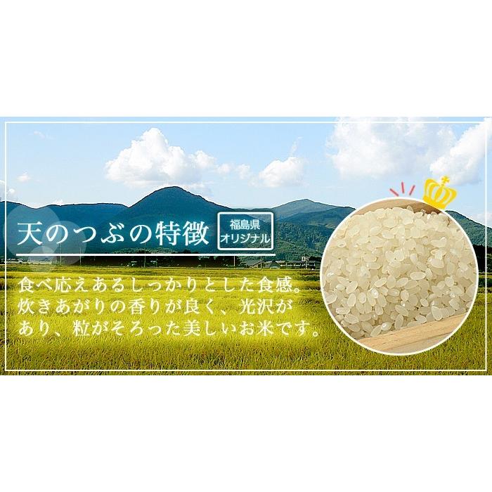  新米 お米 令和5年産 福島県中通り産 天のつぶ 白米:10kg(5kg×2個)  送料無料 ※一部地域を除く