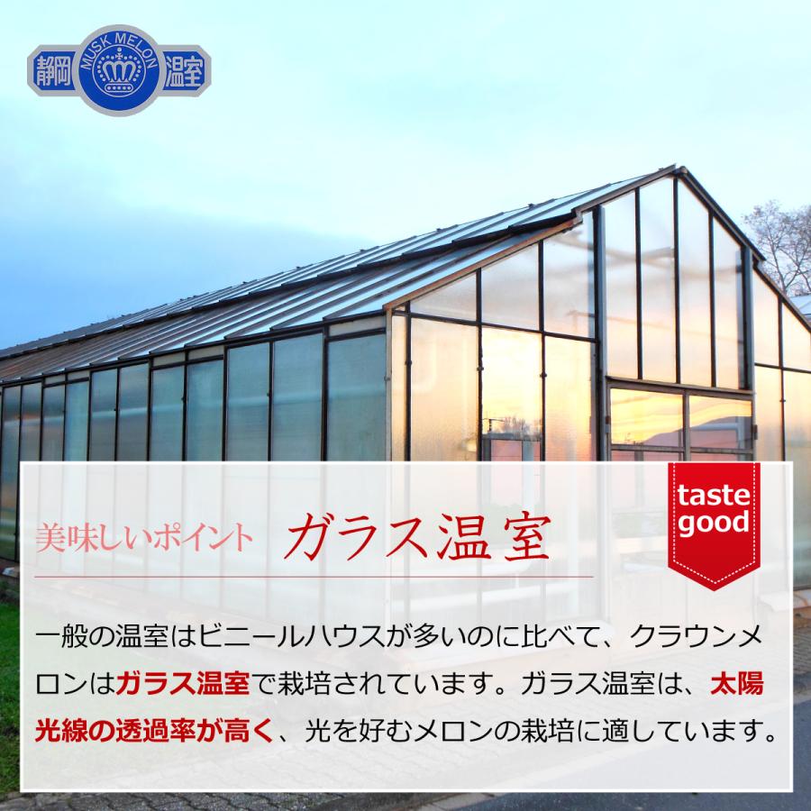 [送料無料][宅配便配送]クラウンメロン 静岡県産 1玉 高級 果物 フルーツ 箱入り 豊洲 産直