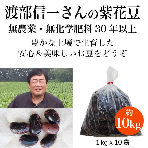 北海道産 無農薬 紫花豆 渡部信一さんの紫花豆約10kg（約1kg×10袋） 無農薬・無化学肥料栽培の紅花いんげん 渡部信一さんは化学薬品とは無縁