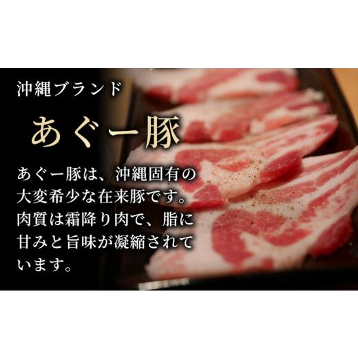 ふるさと納税 沖縄県 八重瀬町 ★満足感たっぷり★あぐー豚まん(肉まん)袋のまま電子レンジで温めて、お召し上がりください。