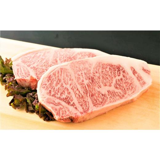 ふるさと納税 福岡県 直方市 博多和牛 サーロイン ステーキ 500g（250g×2枚）牛肉