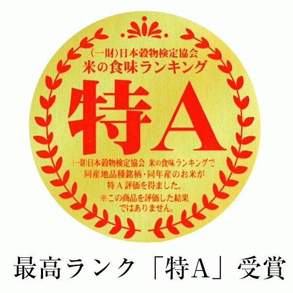 にこまる 無洗米 10kg 熊本県産 令和5年産 ご予約品