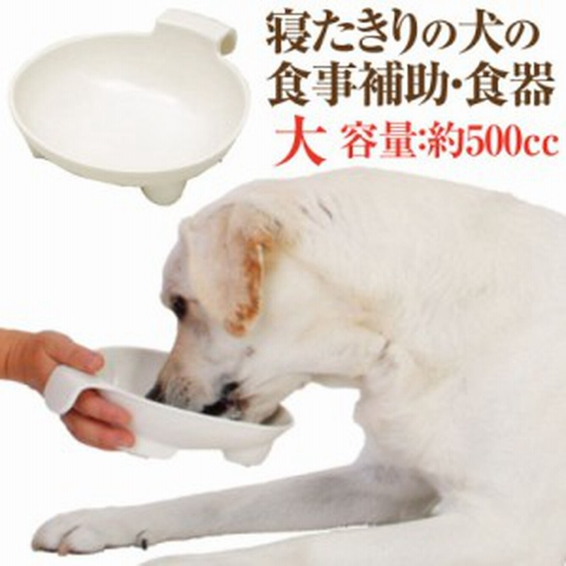 犬 介護の為の食器 フードボウル L 老犬介護 ペティオ フードボウル 大型犬用 通販 Lineポイント最大1 0 Get Lineショッピング