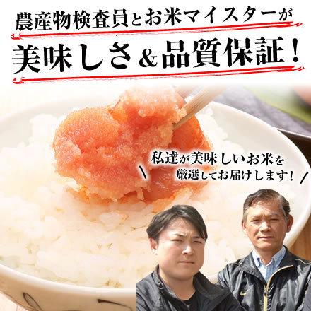 新米 米 10kg 玄米 令和5年 千葉県産 コシヒカリ お米 白米 精米 無料 送料無料 ※地域によりまして別途送料が発生致します。
