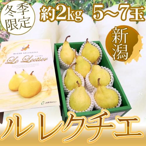 新潟産 ”ル レクチェ” 秀品 5〜7玉 約2kg 化粧箱 洋梨 送料無料