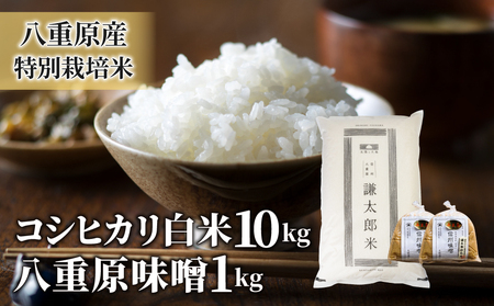 八重原産特別栽培米（減農薬・減化学肥料栽培）コシヒカリ（白米）１０kgと信州味噌「八重原味噌」１kgのセット