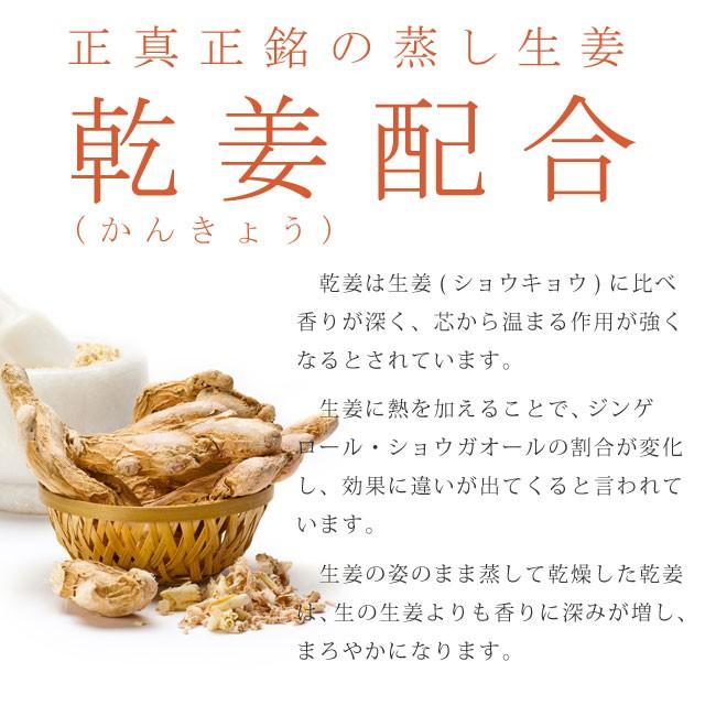 生姜生姜粉末 国産 高知県産生姜100%使用 生姜パウダー 60g GINGER POWDER 高知県産生姜 蒸し生姜 ジンジャーパウダー 非常食