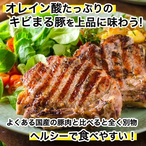 厚切り ステーキ 赤身 肉 赤身肉 豚肉 国産 600g