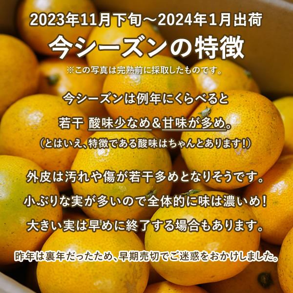 みかん 10kg (S M Lサイズ:早生)甘味と酸味が調和したみかん (出荷:11月下旬-1月)