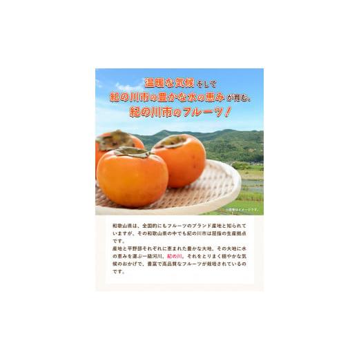 ふるさと納税 和歌山県 紀の川市 和歌山県産 あんぽ柿（大10個セット） 紀の里農業協同組合 《90日以内に順次出荷(土日祝除く)》 和歌山県 紀の川市