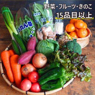 ふるさと納税 南島原市 15品目以上!野菜のプロが厳選した 豪華!野菜セット 旬の野菜・フルーツ・キノコを15〜16品目