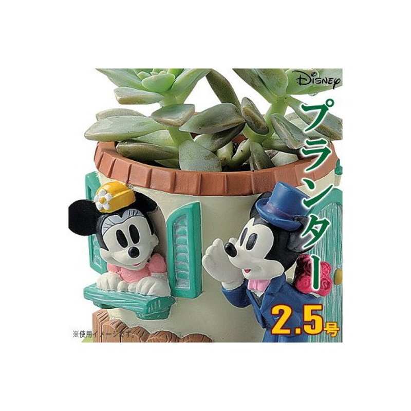 プランター 2 5号 小さい 植木鉢 窓辺 ミニーマウス ミッキーマウス ディズニー キャラクターグッズ かわいい 玄関飾り ガーデニング 鉢 通販 Lineポイント最大0 5 Get Lineショッピング