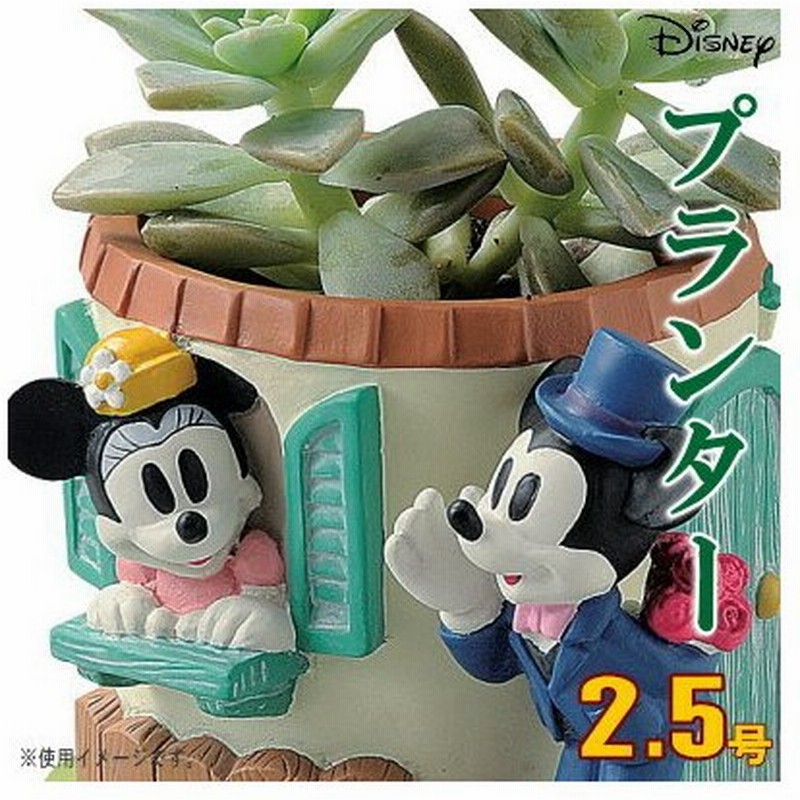 プランター 2 5号 小さい 植木鉢 窓辺 ミニーマウス ミッキーマウス ディズニー キャラクターグッズ かわいい 玄関飾り ガーデニング 鉢 通販 Lineポイント最大0 5 Get Lineショッピング