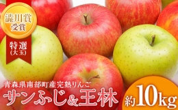 特選 (大玉) 青森産 完熟 りんご 約10kg サンふじ 王林 2種セット  青森りんご リンゴ 林檎 青森県 南部町 澁川賞 受賞 果物 くだもの フルーツ F21U-221