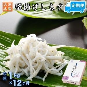 ふるさと納税 定期便 釜揚げしらす (1kg×12か月) 天然 釜揚げ ふっくら しらす シラス 魚 さかな 魚介 離乳食 茨城県大洗町