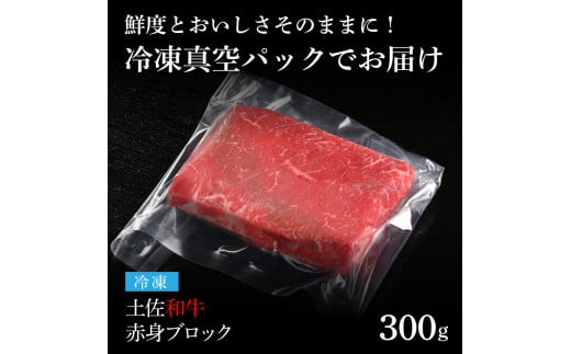  エイジング工法熟成肉土佐和牛特選赤身ブロック300g（冷凍）