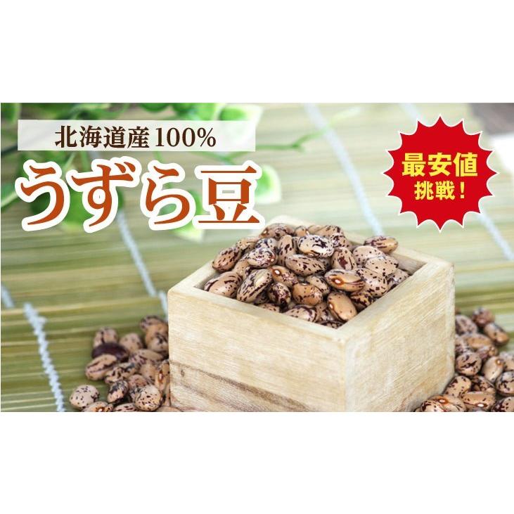 うずら豆 500g メール便送料無料  北海道産