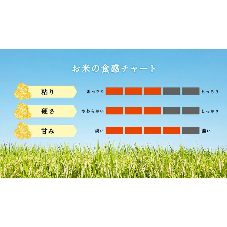 新米 お米 ギフト 米 5kg てんたかく 富山県産 5キロ 令和5年産 お米ギフト 精米 白米 分づき米 食品 入学内祝い 引っ越し 挨拶