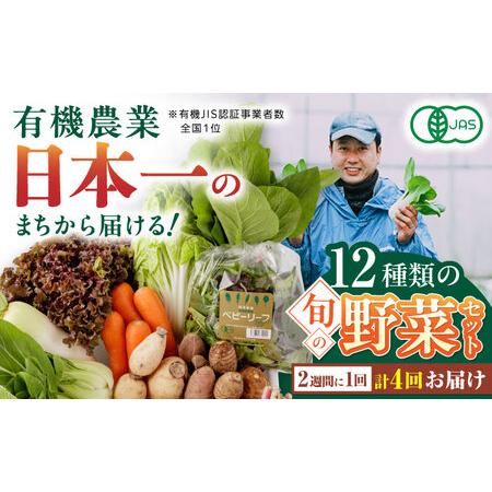 ふるさと納税 有機野菜 12種セット 詰め合わせ 野菜詰め合わせ 熊本県産有機野菜 山都町産有機野菜 産地直送 高原野菜 新鮮.. 熊本県山都町