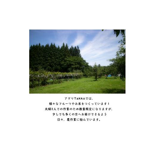 ふるさと納税 秋田県 鹿角市 秋田県鹿角産りんご「サンふじ」贈答用 約5kg（16〜20玉前後）●2023年11月中旬発送開始　りんご リンゴ 林檎 秋…