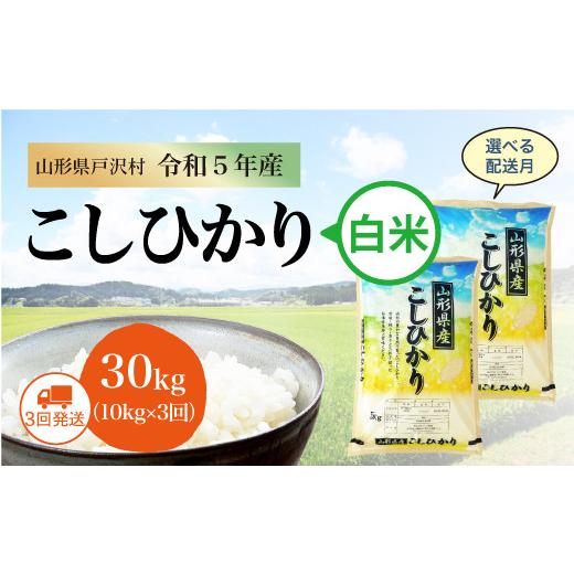 令和5年産 コシヒカリ  定期便 30?（10kg×1カ月間隔で3回お届け） ＜配送時期指定可＞ 山形県 戸沢村