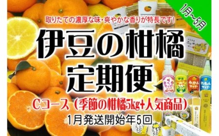 東伊豆産　伊豆の柑橘　定期便　Cコース　E014／収穫体験農園ふたつぼり　はるか　伊予柑　オレンジ　甘夏　みかん　静岡県　東伊豆町