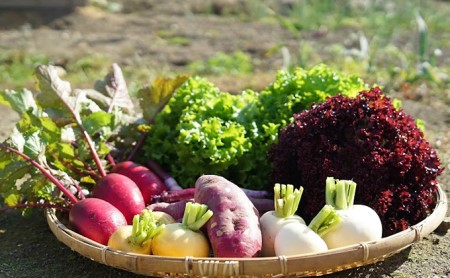 兵庫県産のお米（5kg）と季節のお野菜（約3kg）ジャム（3種）の詰め合わせ