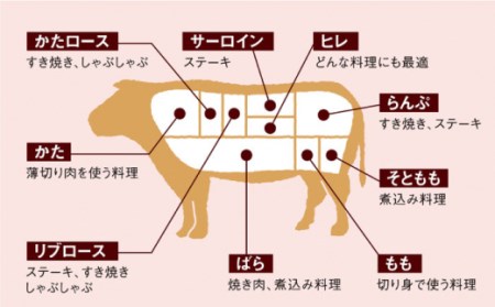 長崎和牛 サーロインブロック 計24kg＜大西海ファーム＞[CEK116]