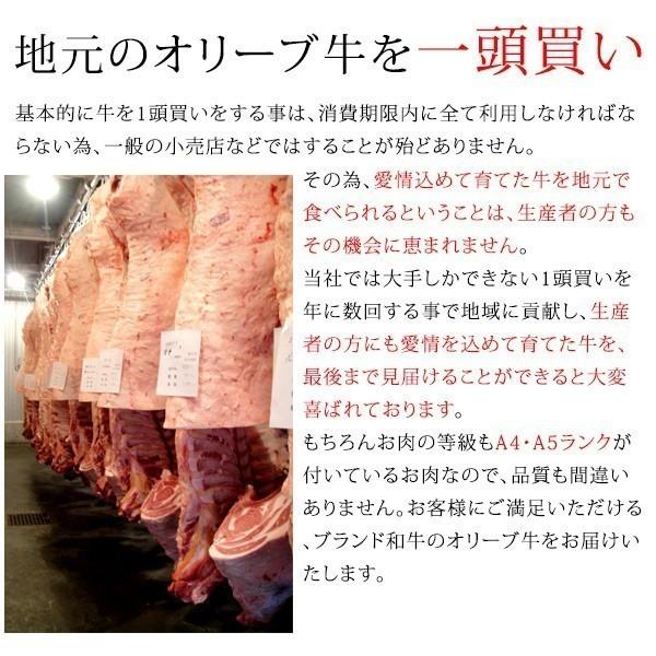 牛肉 オリーブ牛 サーロイン ステーキ 国産 200g×4枚 ステーキ肉 内祝 ギフト 和牛 ギフト プレゼント 誕生日 お祝い 黒毛和牛 A4 A5 お中元 お歳暮