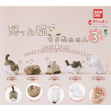 全套5款 日本正版 憤怒的貓 P3 扭蛋 轉蛋 公仔 氣死貓了 生氣的貓 黑白貓 白貓 動物模型 BANDAI 萬代 - 775796