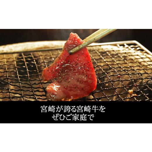 ふるさと納税 宮崎県 宮崎市 宮崎牛焼肉450gセット(バラ、モモ、ウデ／各150g)_M109-009