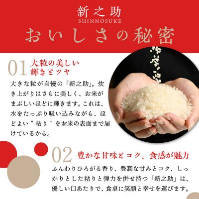 ふるさと納税 妙高市 2023年1月下旬より発送　新潟県上越・妙高産新之助10kg×6回(計60kg)