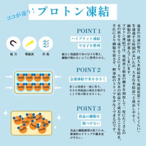 中華職人こだわりの 大粒 海老シューマイ （約50g×6個）×4パック プロトン冷凍