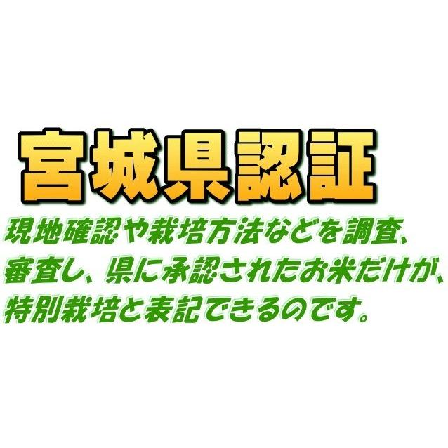 新米 令和5年産 宮城県 登米産  ひとめぼれ 宮城県認証 白米 25kg  無洗米 25kg 要選択 ※沖縄県送料別途3,000円 ◆デザインポリ袋仕様◆