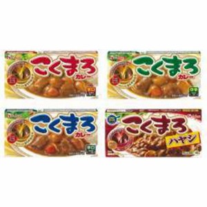 ハウス食品 こくまろカレー・ハヤシセット  ×1