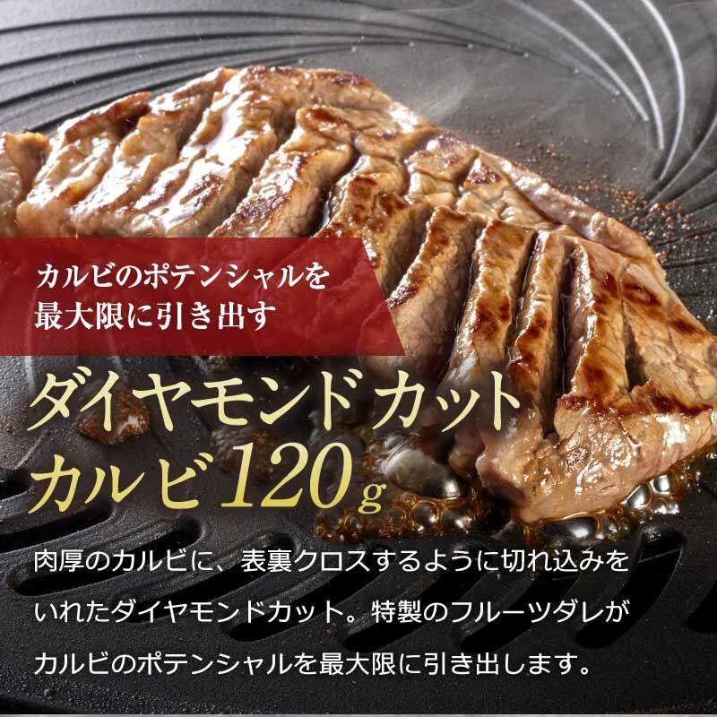 焼肉トラジ堪能セット